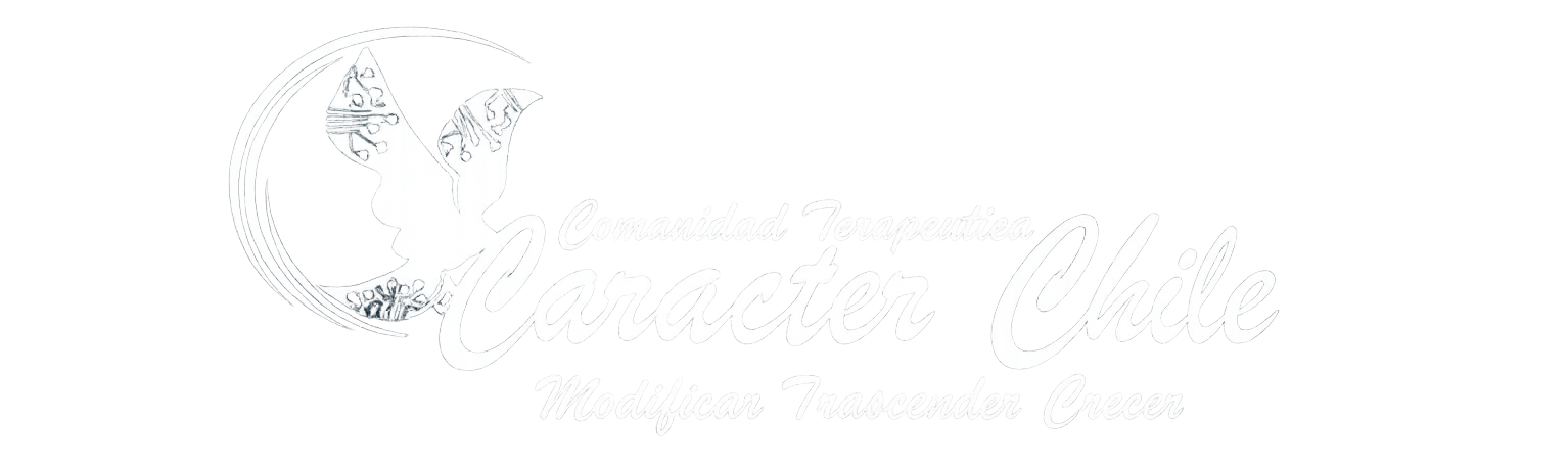 Somos Carácter Chile